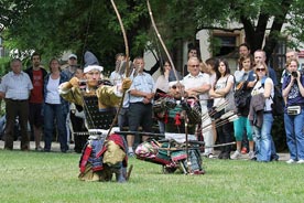 Bodaidžu macuri 2011