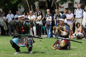 Bodaidžu macuri 2011