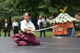 Bodaidžu macuri 2011